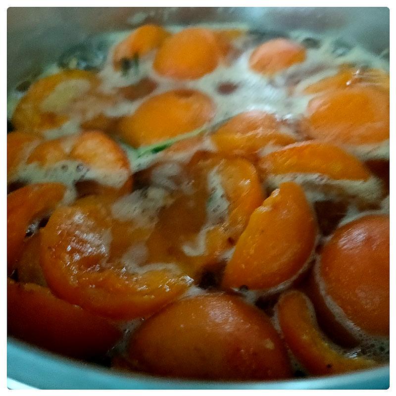 recette Sorbet aux abricots & romarin