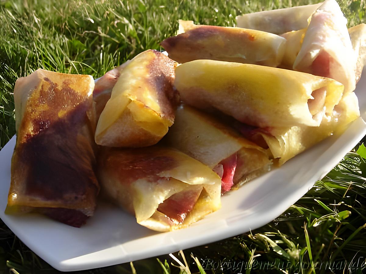 recette Cigares de brick au foie gras,framboises et miel d'accacia