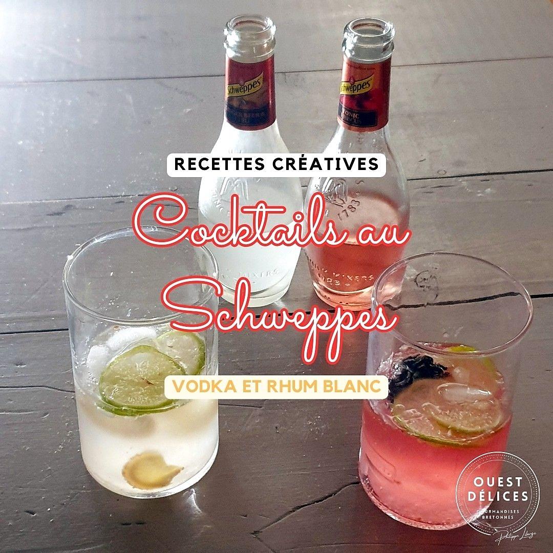 recette Cocktails au Schweppes Premium