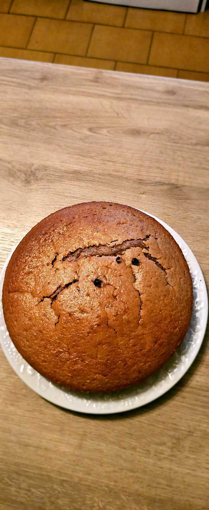Gateau au yaourt à la crème de marrons et au chocolat