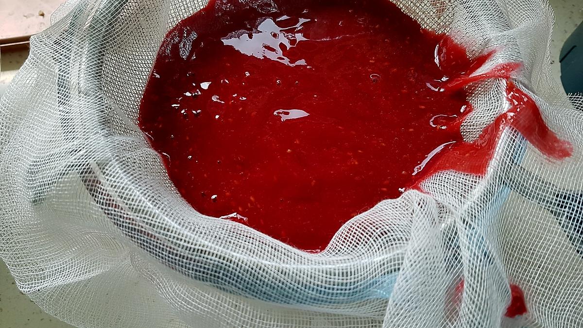 recette Bavarois aux fraises sur génoise et son miroir aux framboises