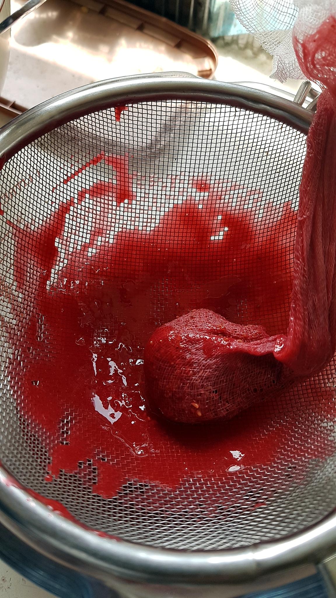 recette Bavarois aux fraises sur génoise et son miroir aux framboises