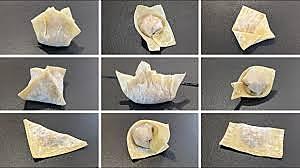 recette Wonton au poulet , champignons noir et ciboule