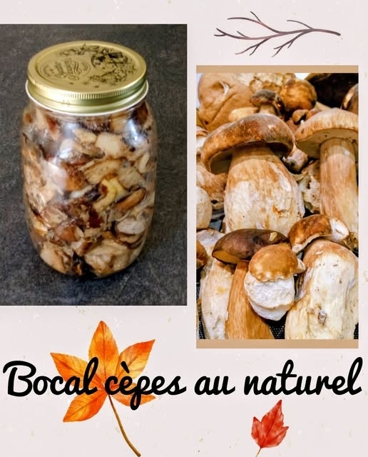 recette BOCAL CÈPES AU NATUREL