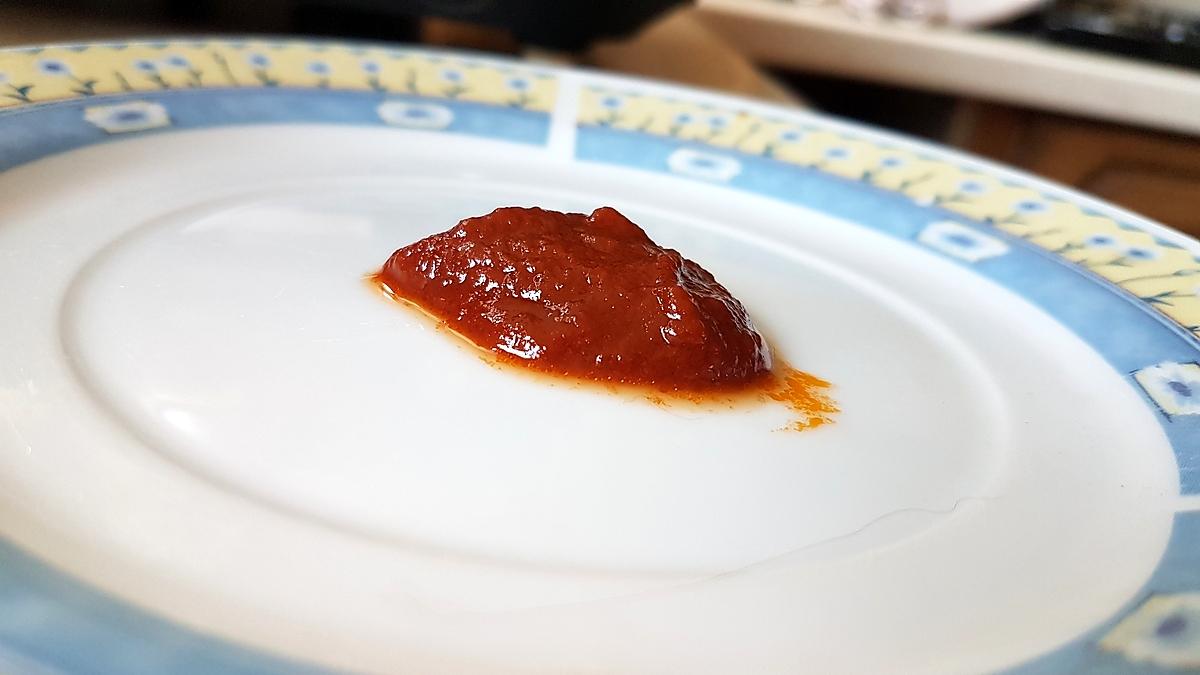 recette Double concentré de tomates maison