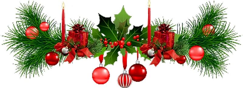 recette poulet rôti a l'extra scrip de moulinex