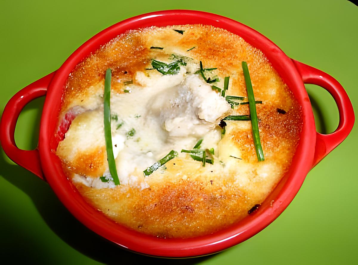 recette GRATIN DE LOTTE A LA CIBOULETTE