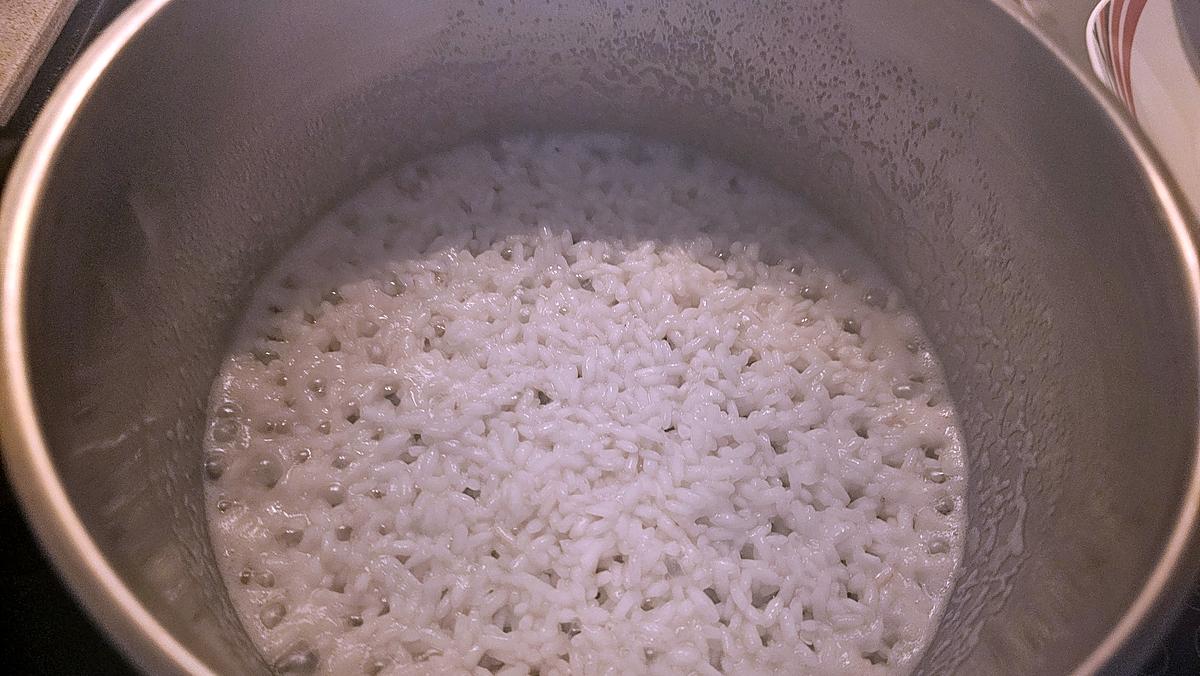 recette Riz au lait sans œufs à la cannelle (arroz doce sem ovos com canela)