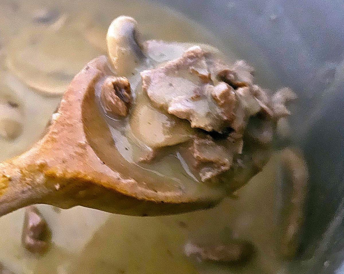 recette Émincé de bœuf crémeux aux champignons (recette facile)