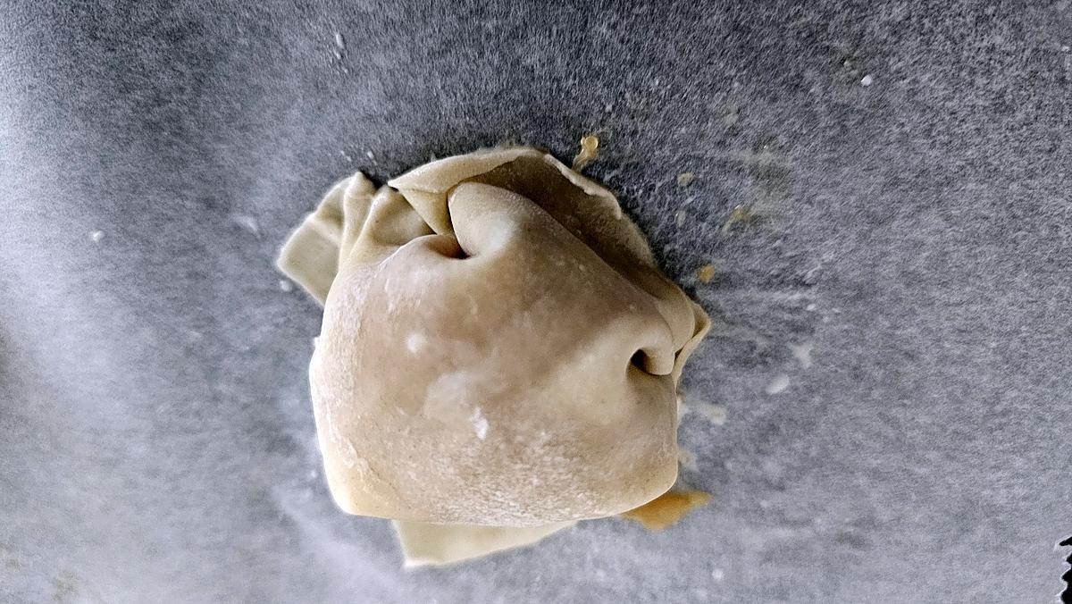 recette Raviolis croustillants au poulet (inspiré par cooking Morgan)