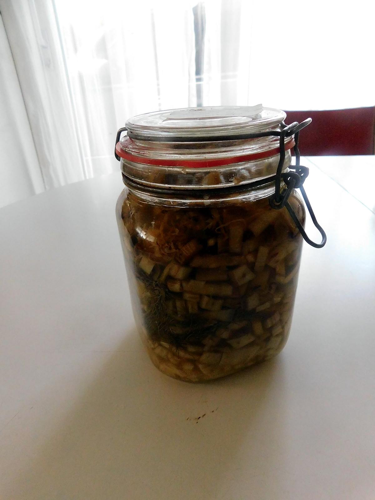 recette Fenouil lacto-fermenté
