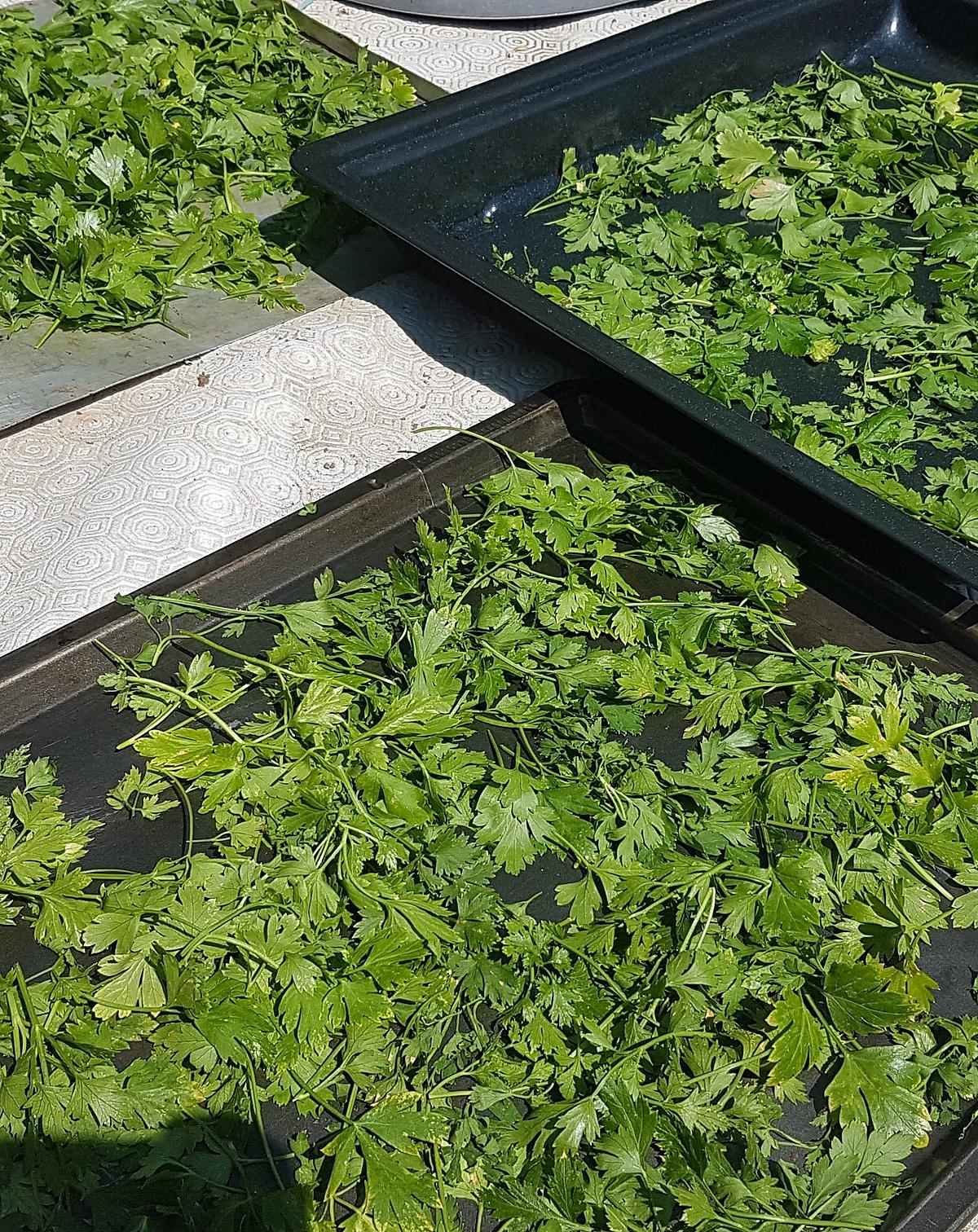 recette Faire sécher les fines herbes