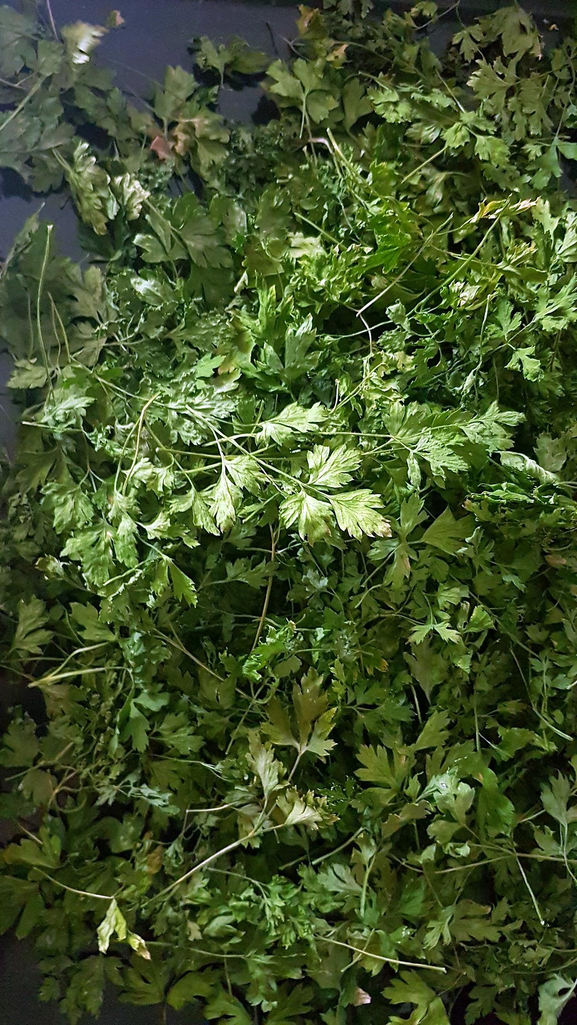 recette Faire sécher les fines herbes