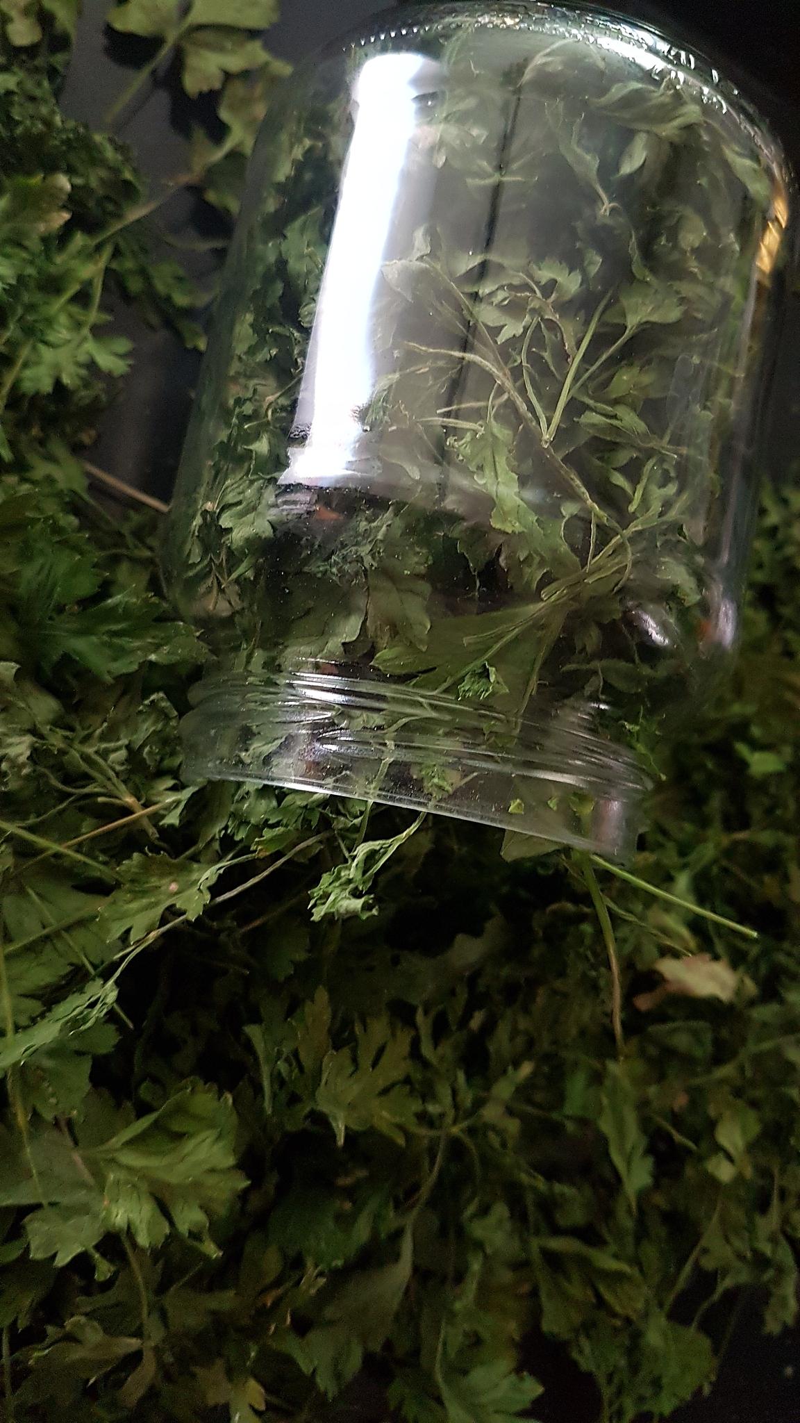recette Faire sécher les fines herbes