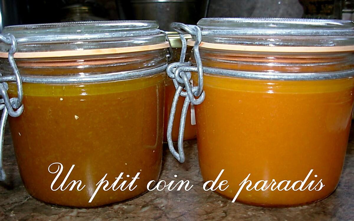 recette Duo de coulis