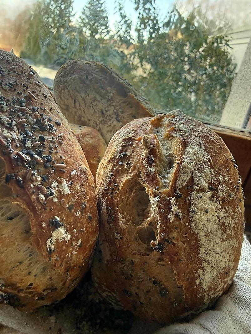 recette Mes p'tits pains aux graines