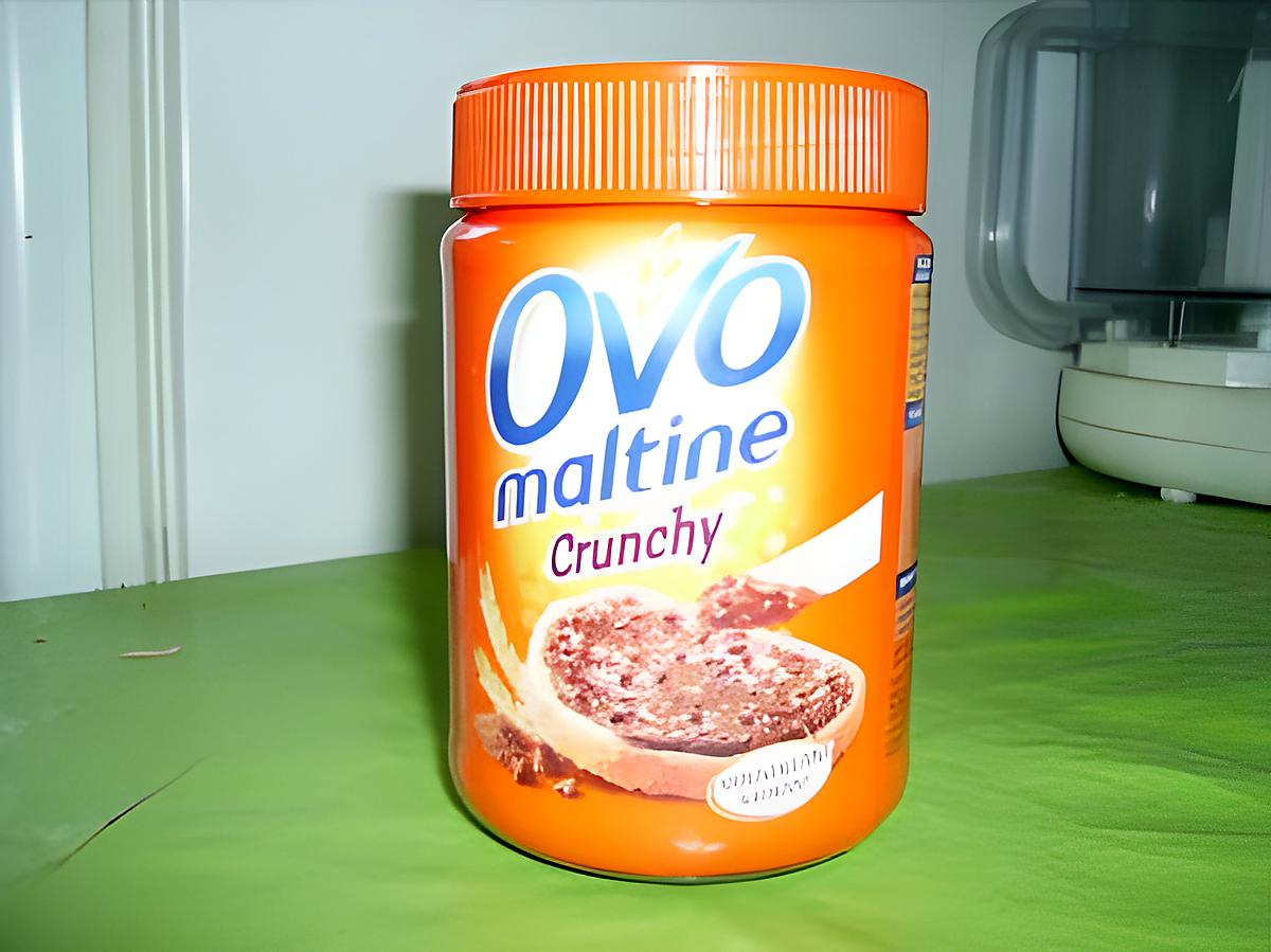 recette yaourt ovomaltine