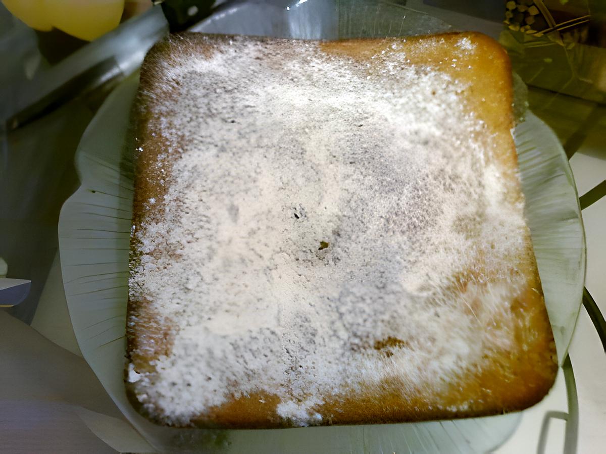 recette * gateau au yaourt trop léger  *