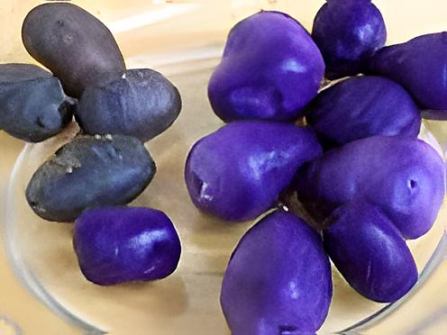 recette PUREE DE VITELOTTE A LA CREME LEGERE