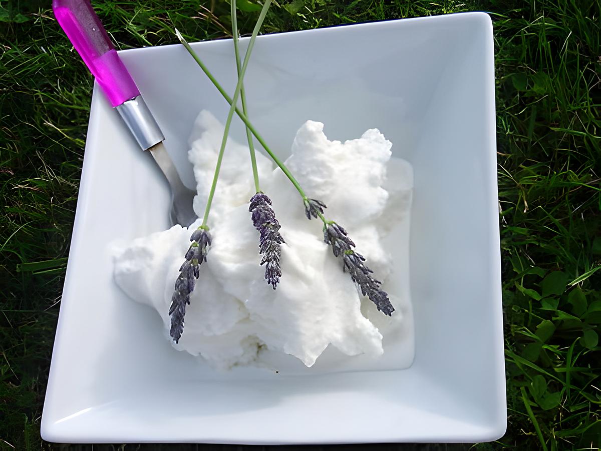 recette glace a la lavande du jardin!!!!!!!sans oeufs et sans colorant!!!!