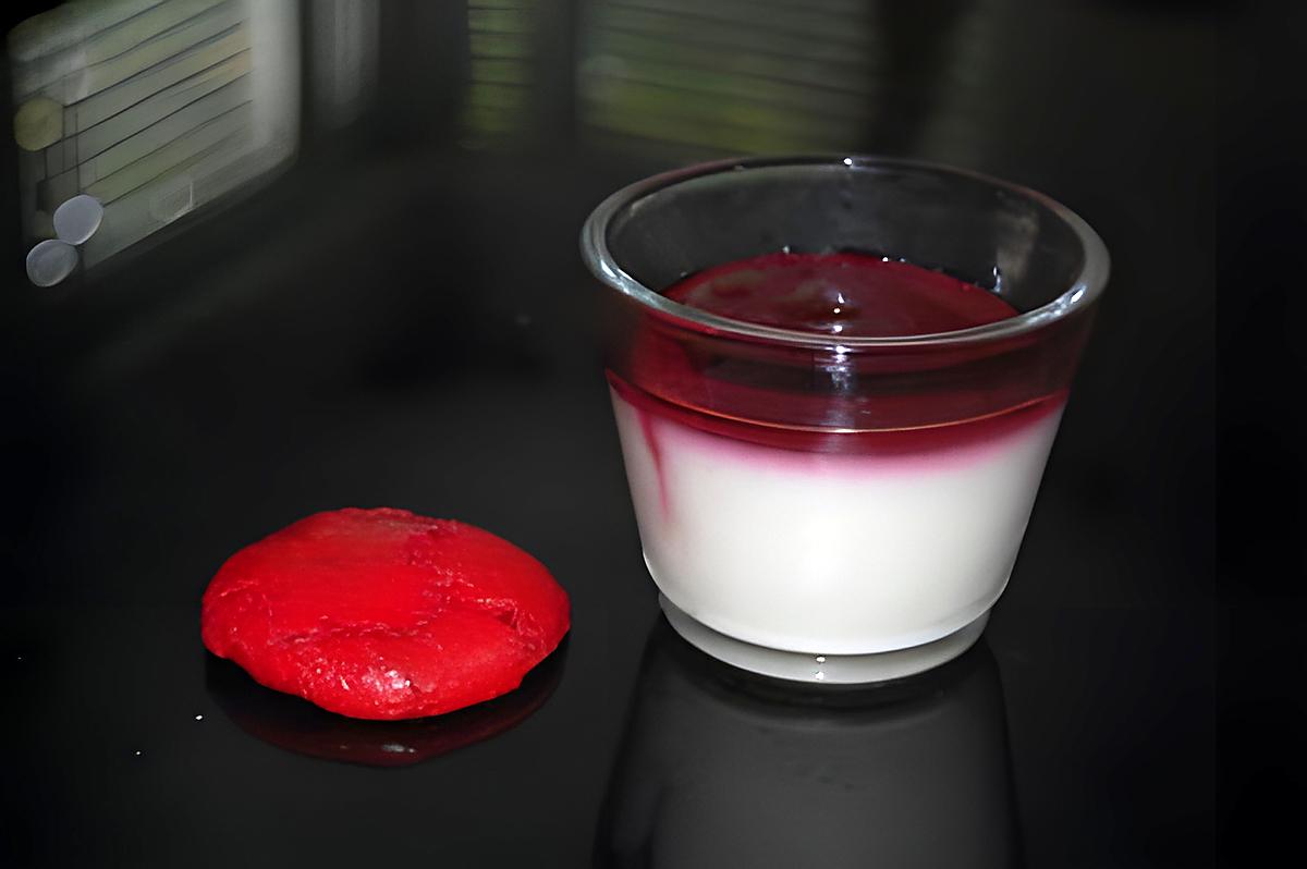 recette Un dessert léger: Panna Cotta légère aux fruits rouges pour 1 point Weight Watchers