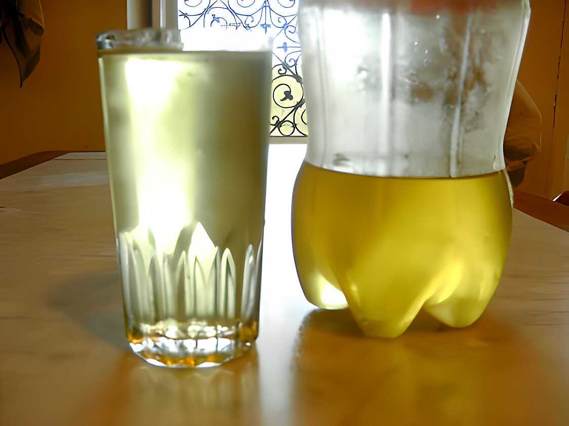 Recette de Sirop de menthe sans conservateur ni colorant