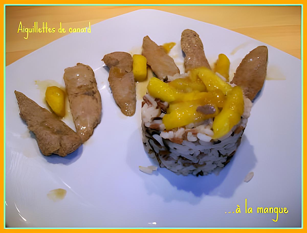 recette Aiguillettes de canard à la mangue