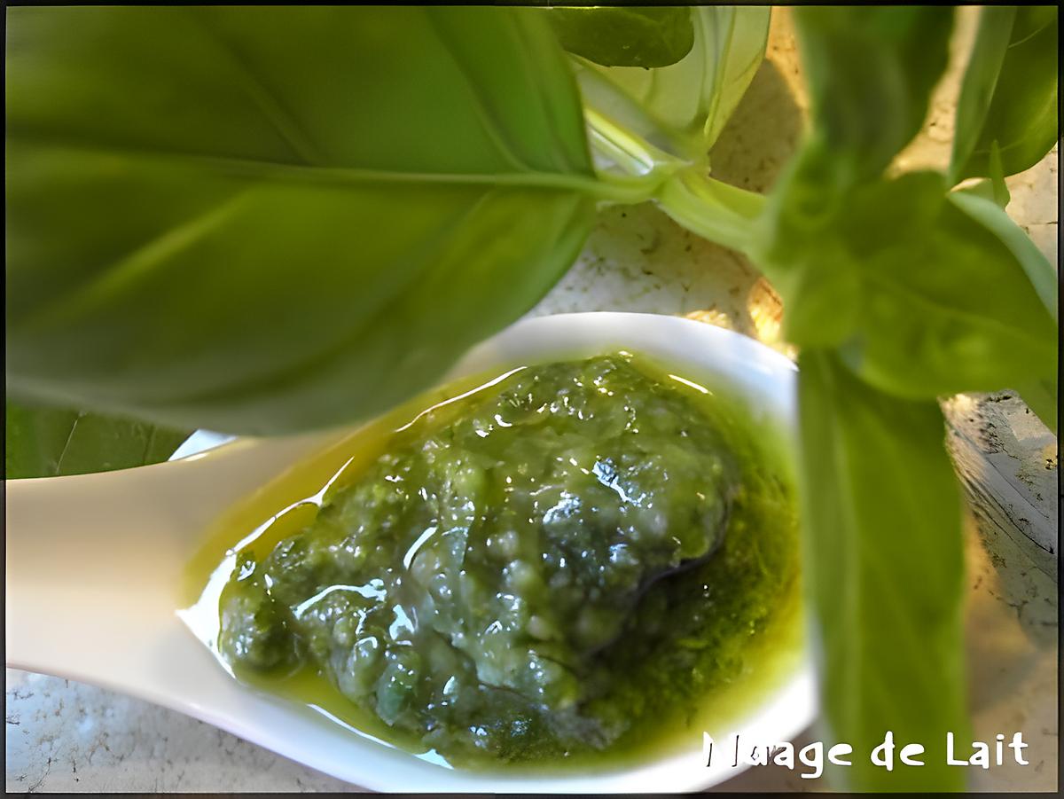 recette Pesto alla Genovese (au Basilic)