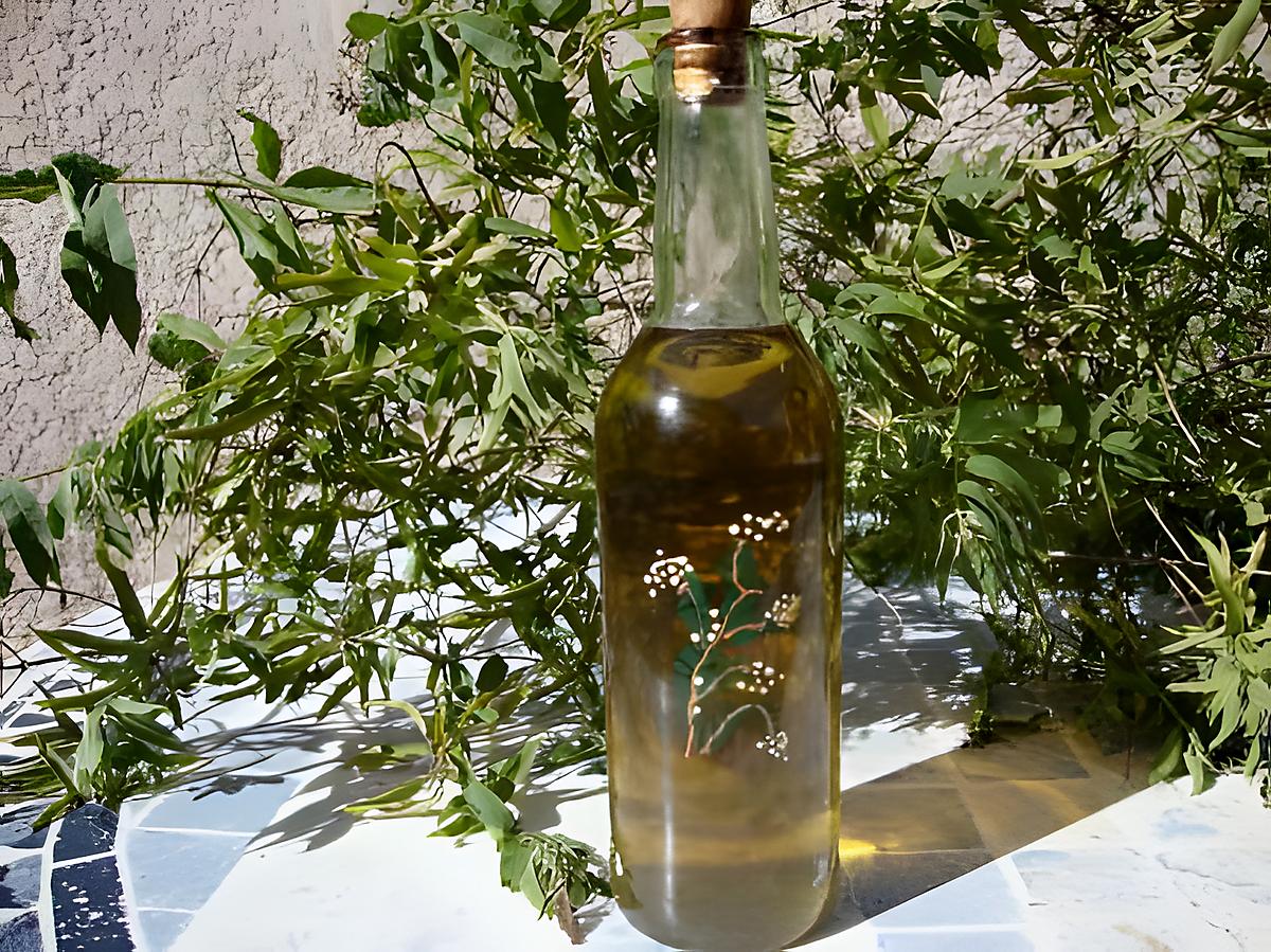 recette LIQUEUR de VERVEINE digestive