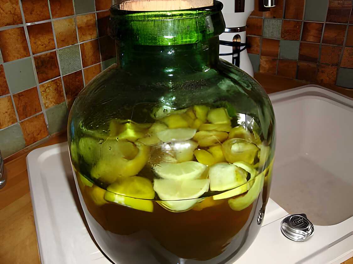 Recette de Vin de citrons — free download