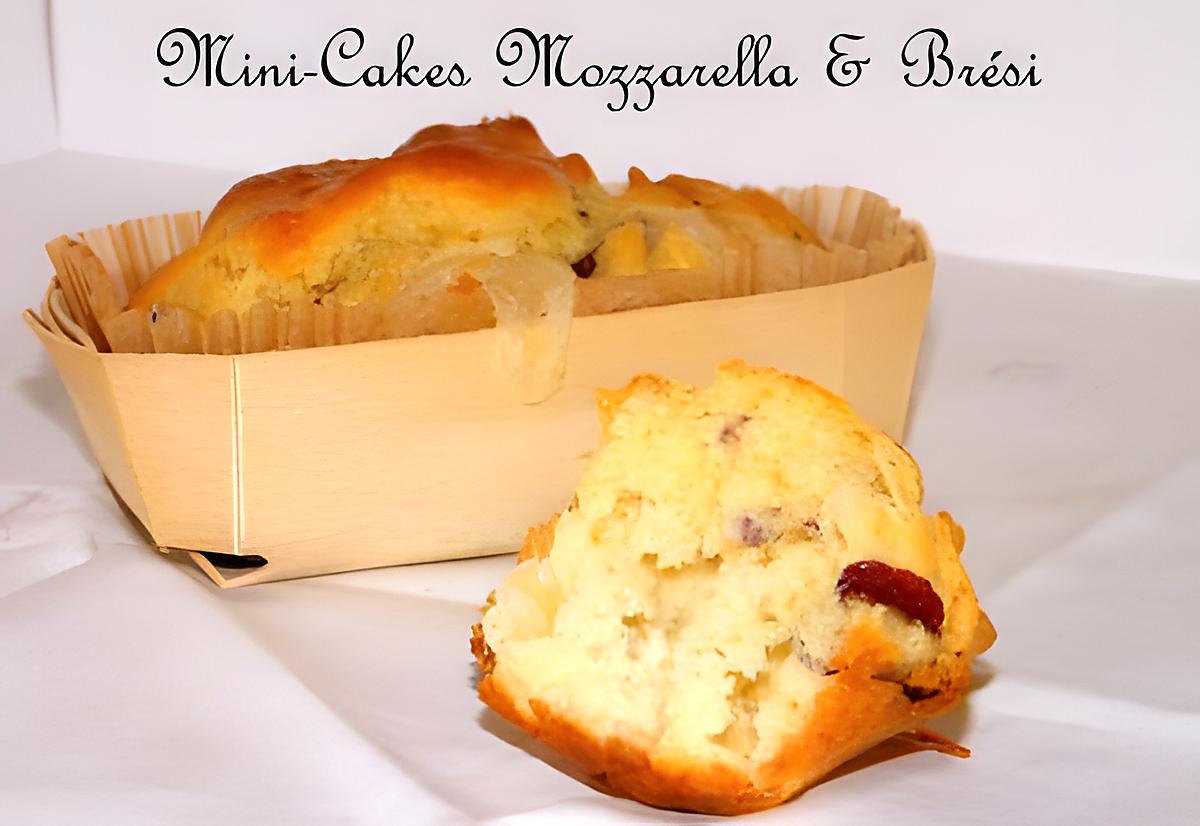 recette Ooo #Apéritif : Mini cakes mozzarella & brési ooO