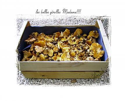 recette Tagliatelles aux girolles et noix st jacques