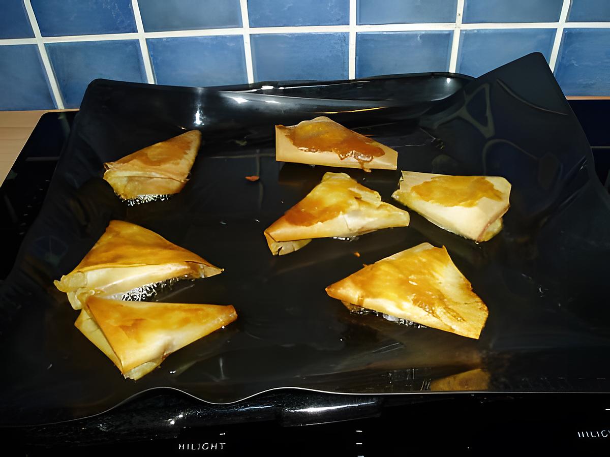 recette feuilles de bricks à la terrine de canard