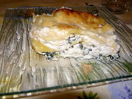 recette lasagne épinard saumon ricotta
