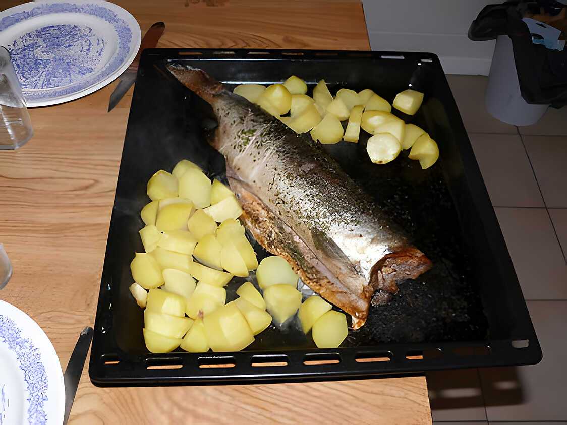 Recette de Saumon aux pommes de Terre