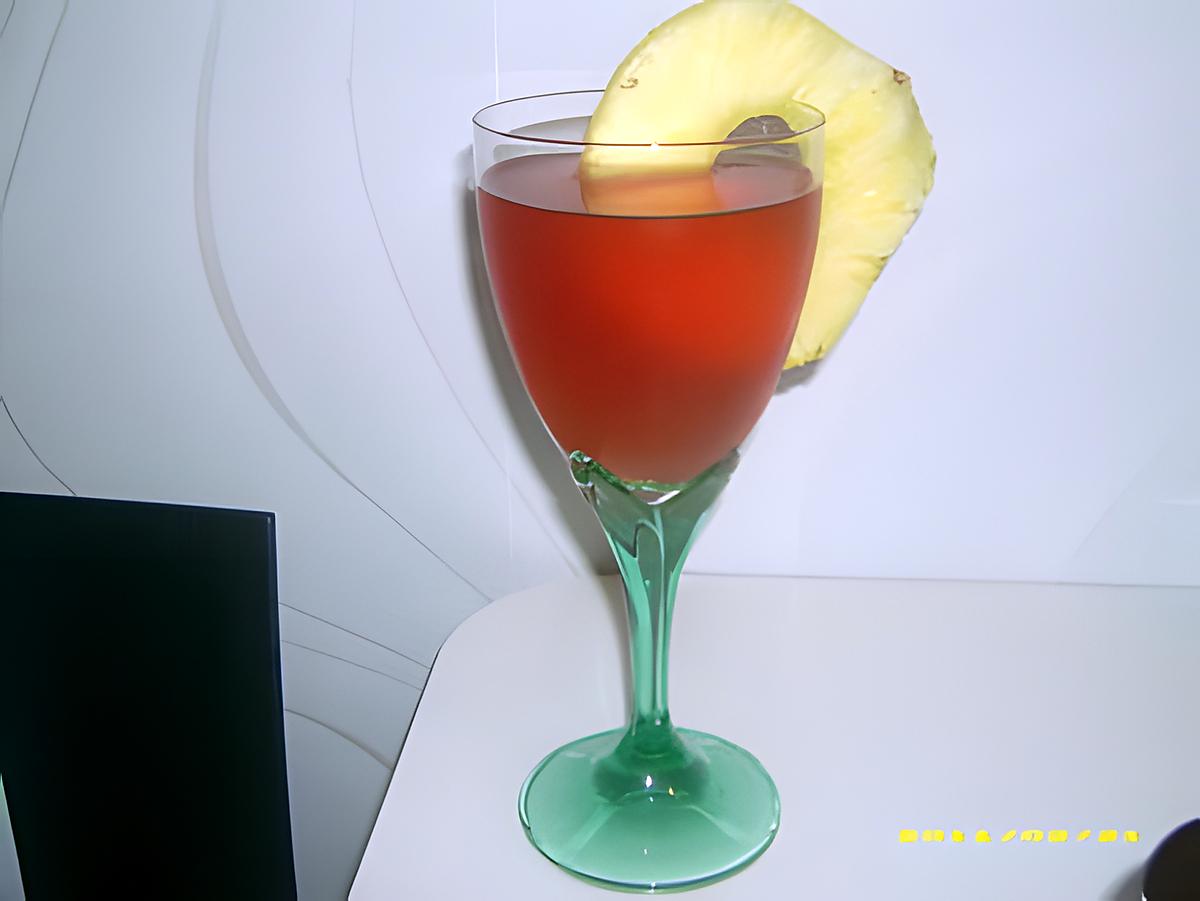 recette cocktail de vin rosé aux agrumes