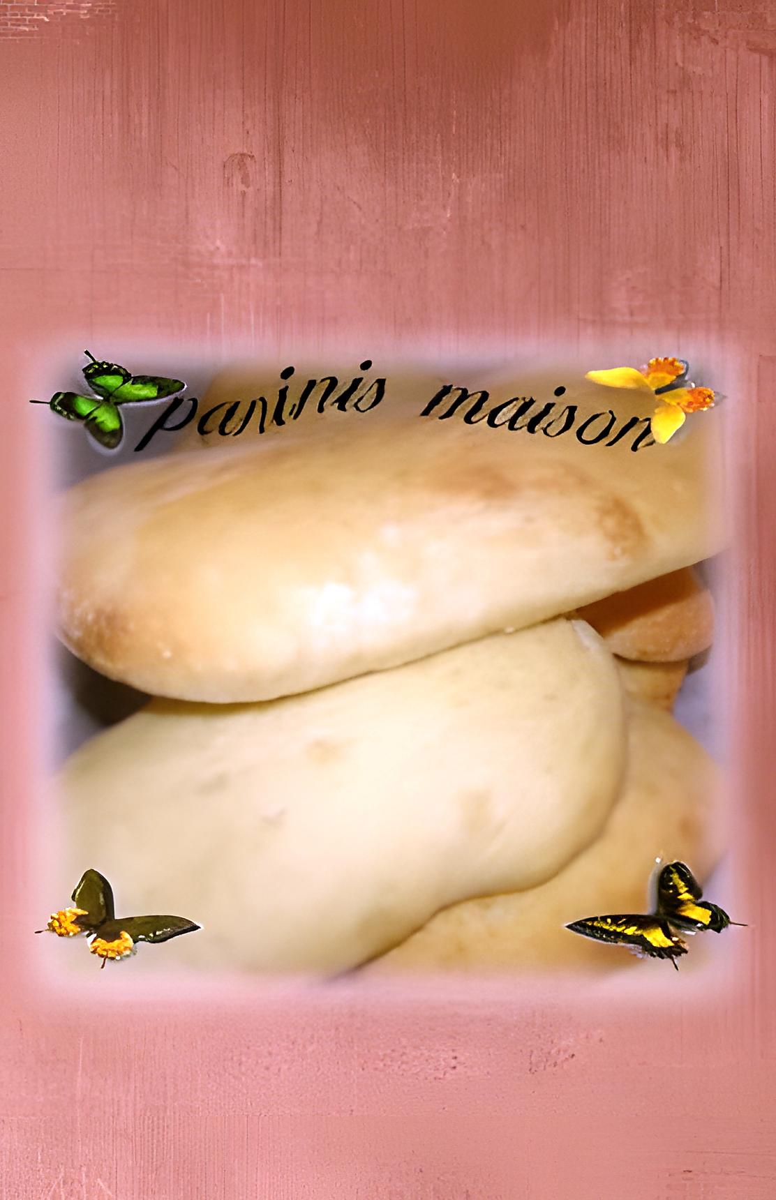 recette pain a paninis maison