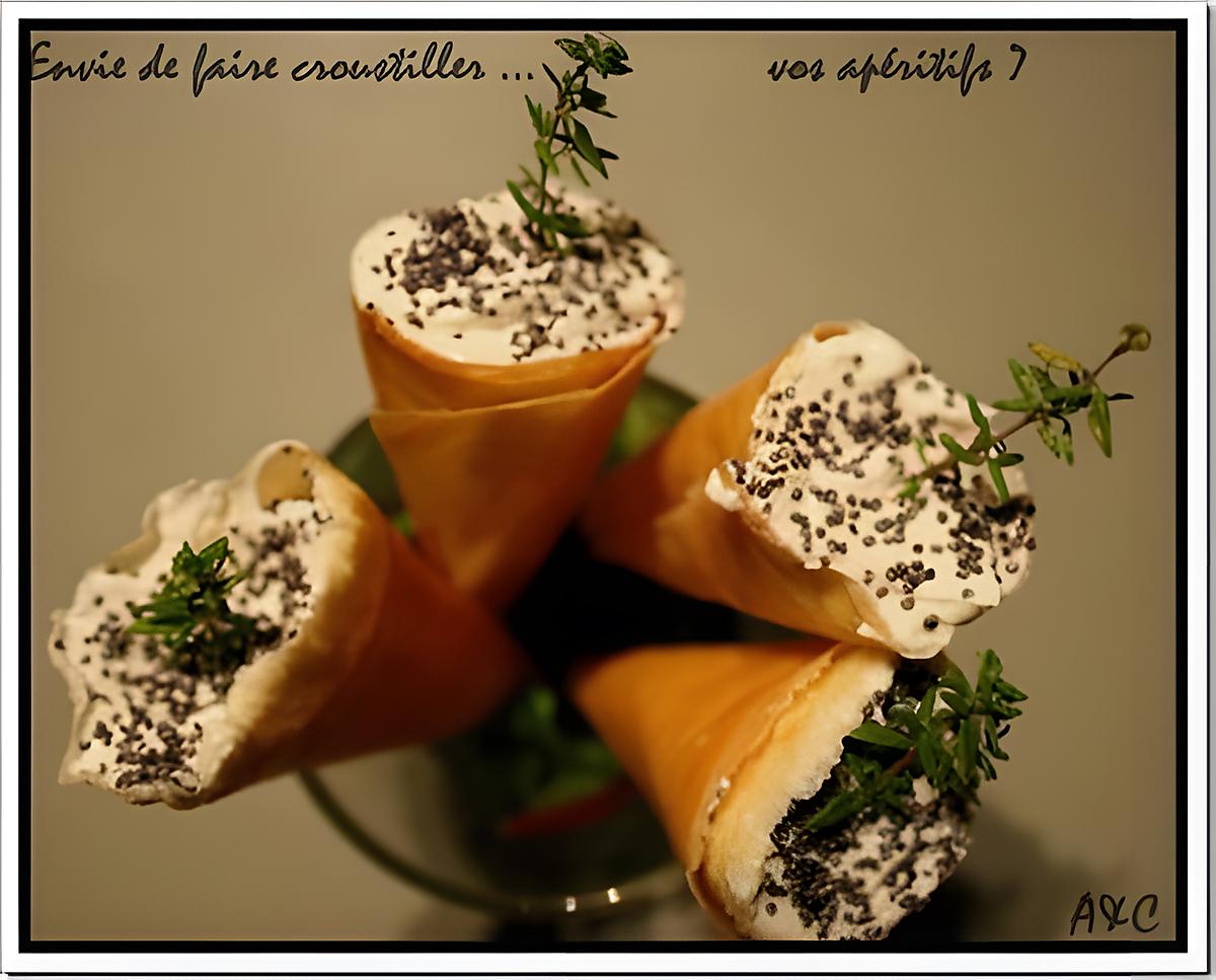 recette ** Pour  vos apéritifs : Petits Cornets croustillants farcis au saumon et chèvre au miel citronnée ! a décliner pour les fêtes**