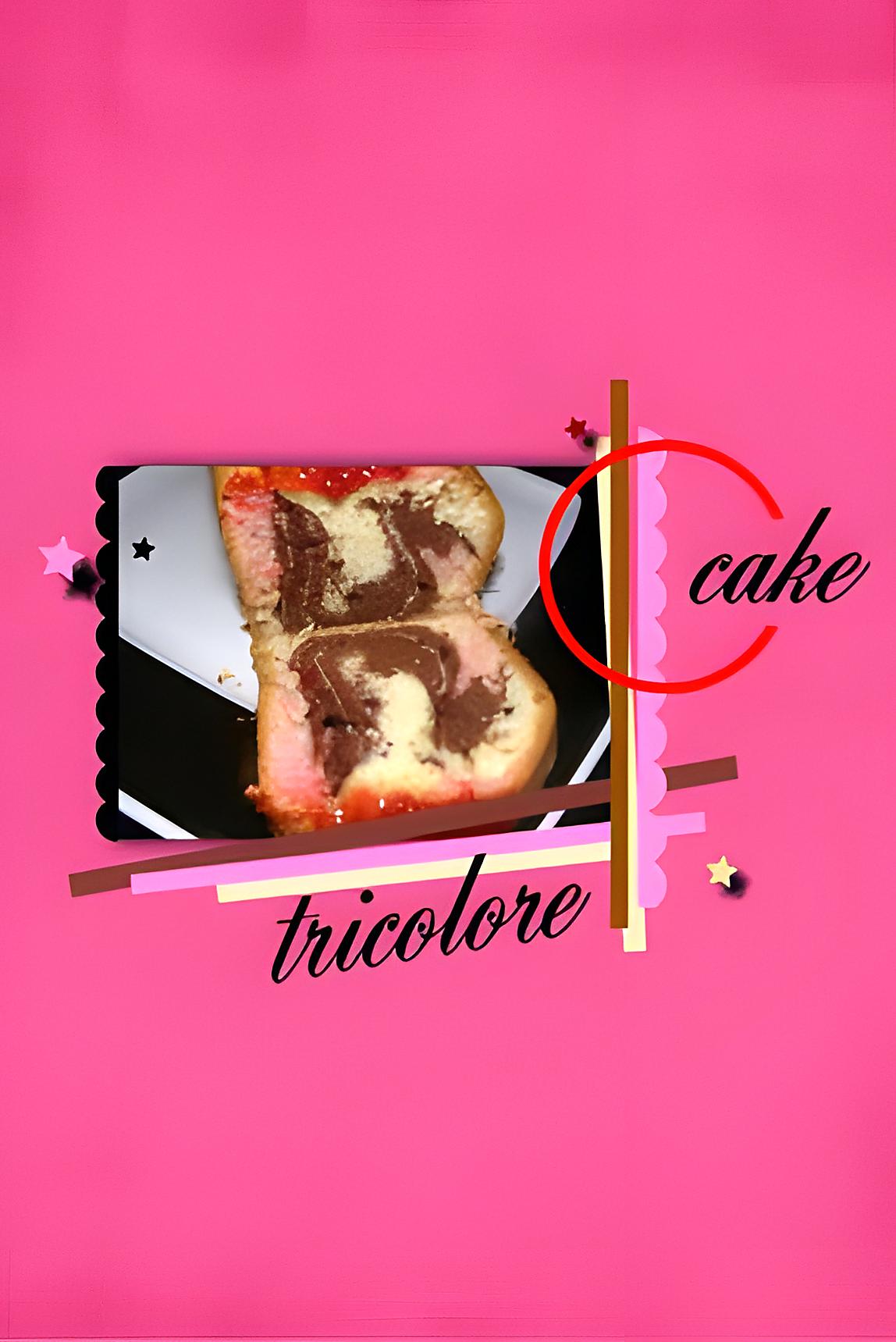 recette cake tricolore