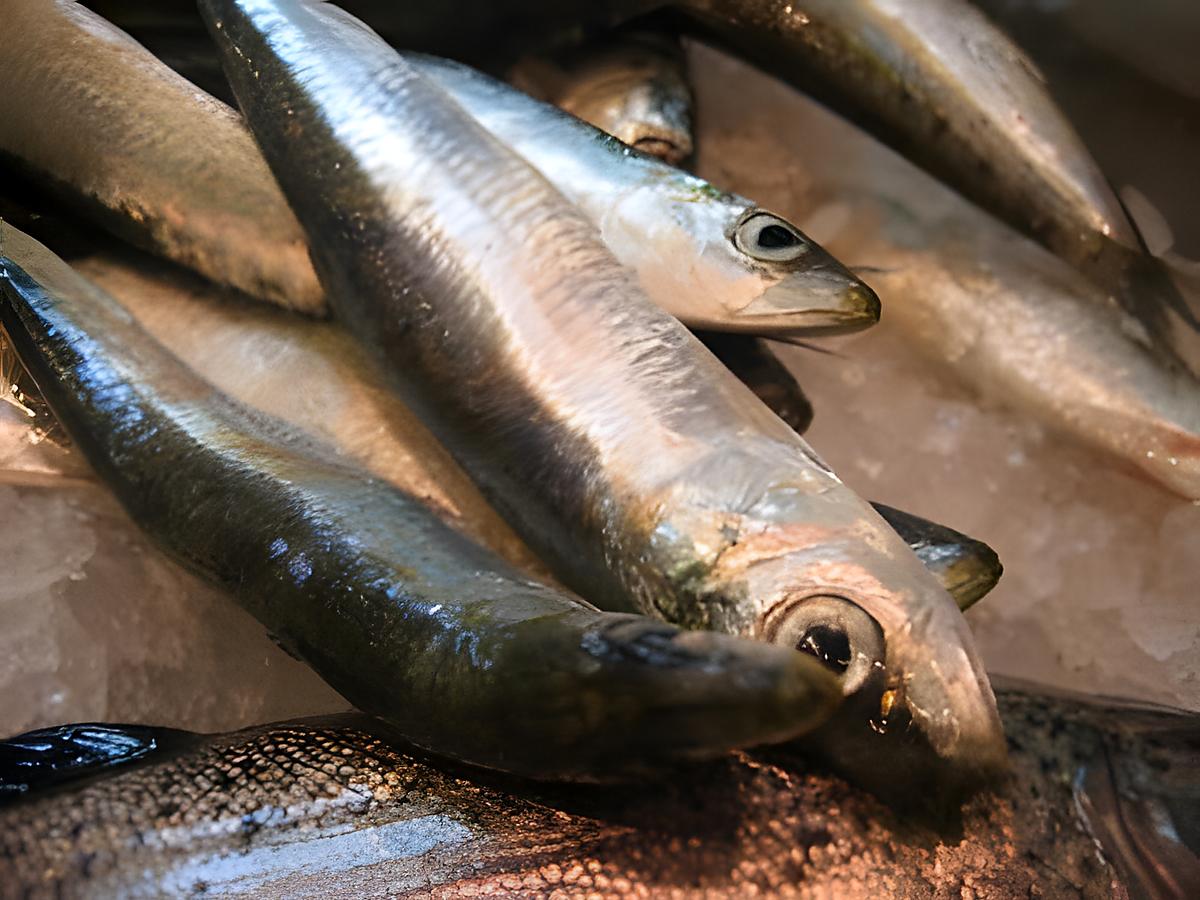 recette sardines en papillotes