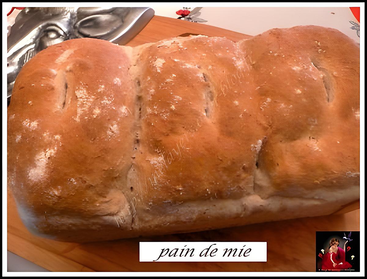 Recette de Pain de mie par melayers