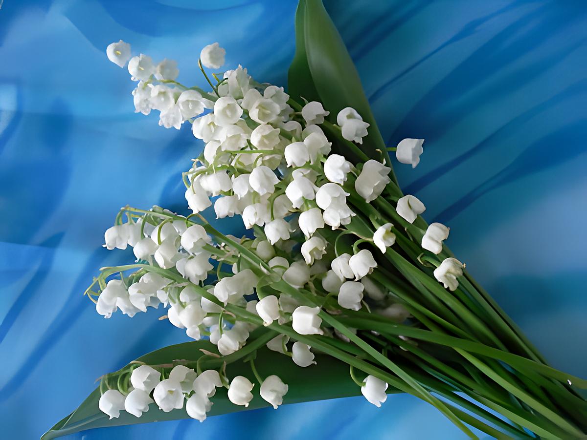 recette Un petit brin de muguet, juste pr le plaisir