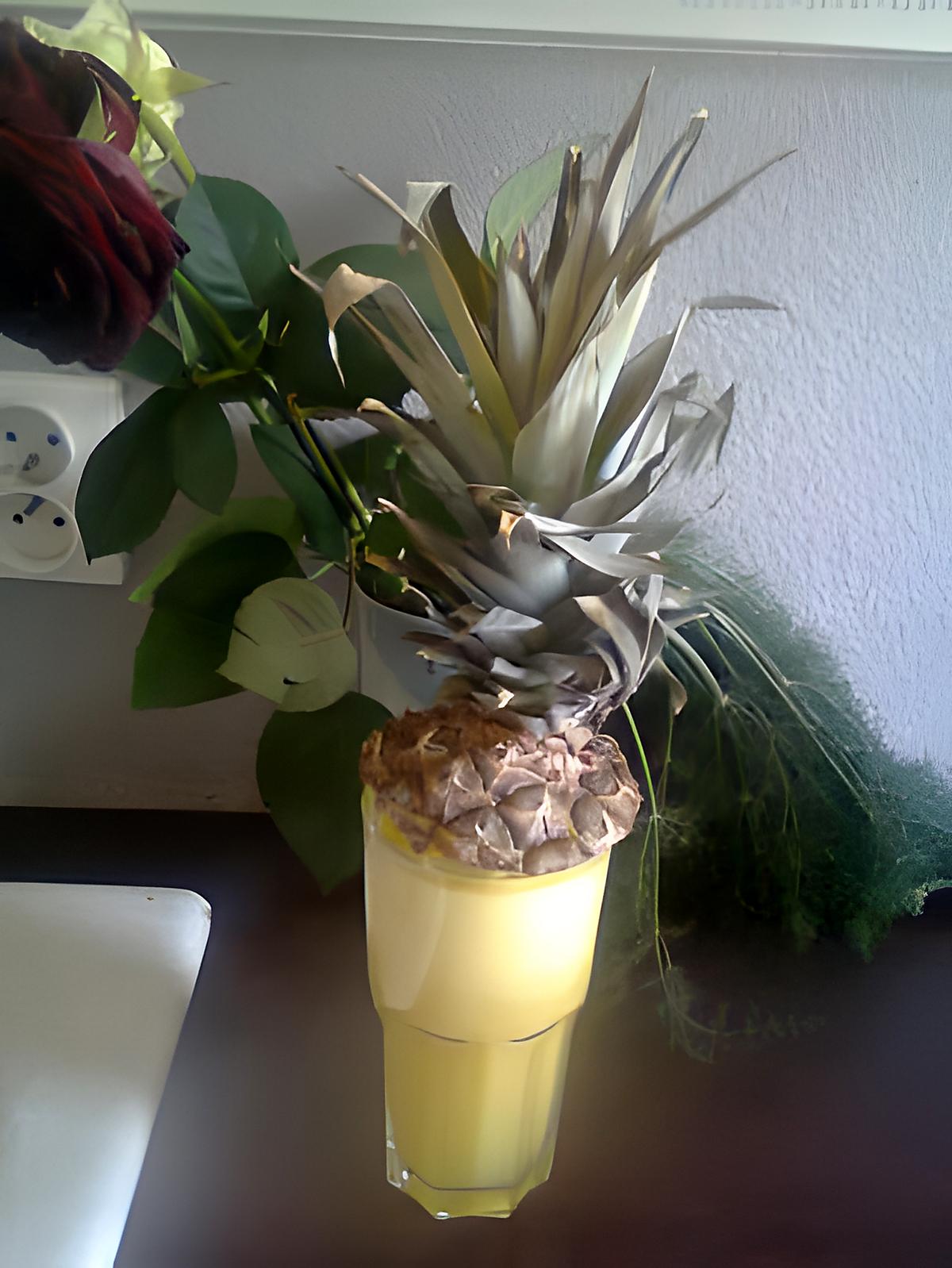 recette Jus d'ananas frais centrifugeuse