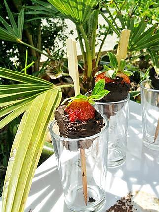 recette Sucettes de fraises enrober de chocolat