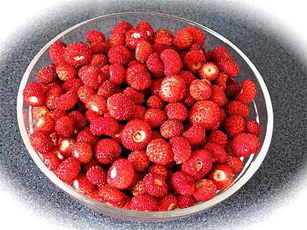 recette TARTE AUX FRAISES DES BOIS SAUVAGES