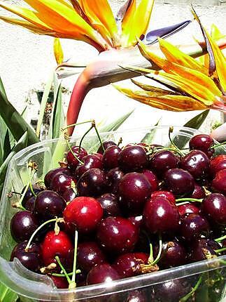 recette Salade de cerises aux épices