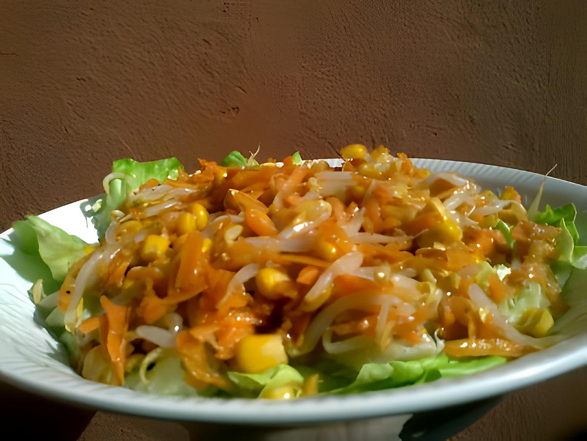recette Salade carottes germes de soja