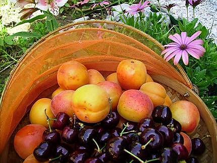 recette Coupe bicolore abricots et cerises