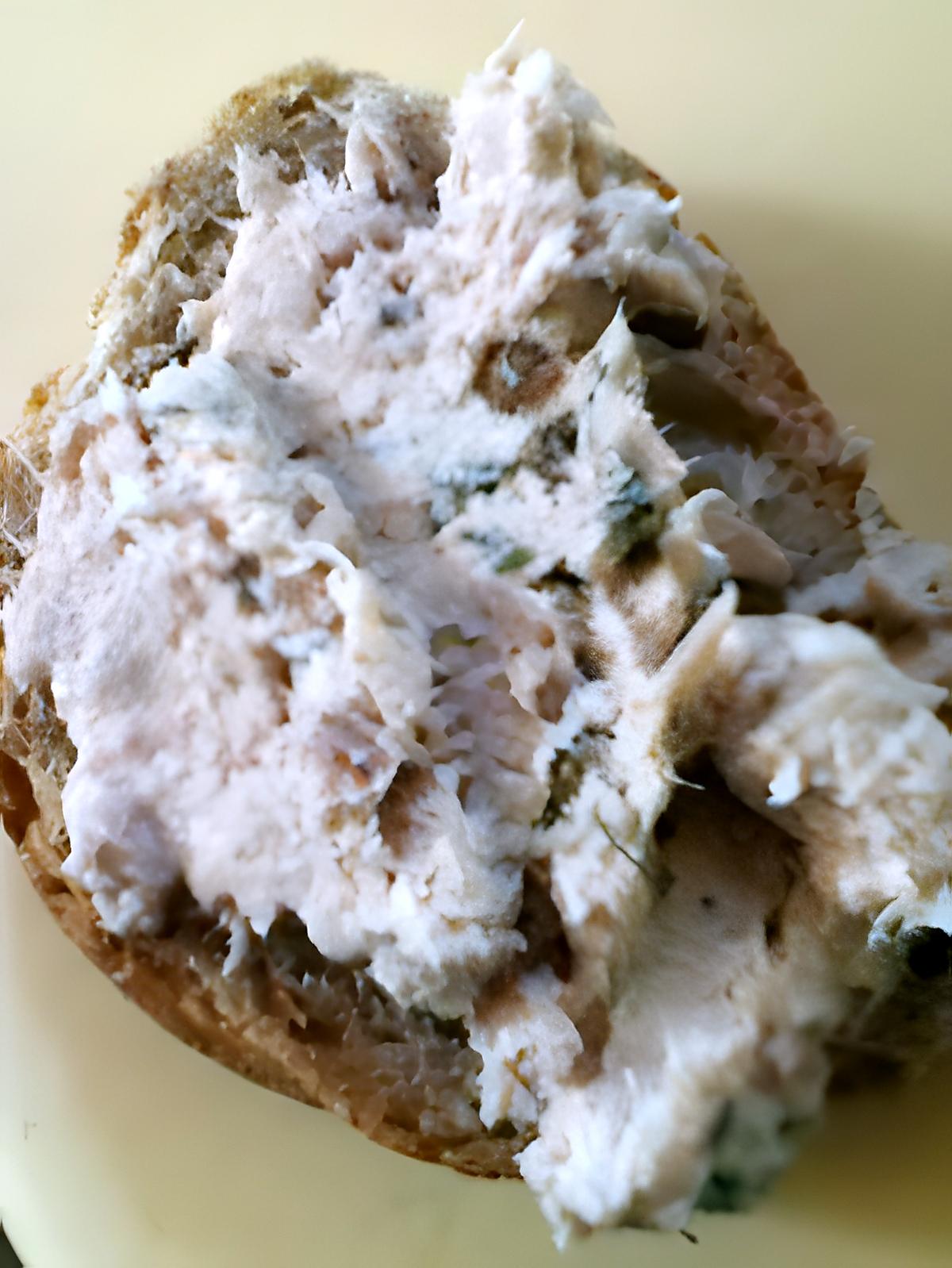 recette Rillettes de Thon