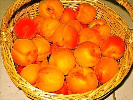 recette COULIS D'ABRICOTS